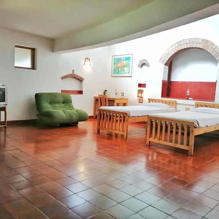 Bed and Breakfast Wildernest Теккади Номер фото