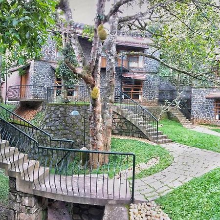 Bed and Breakfast Wildernest Теккади Экстерьер фото