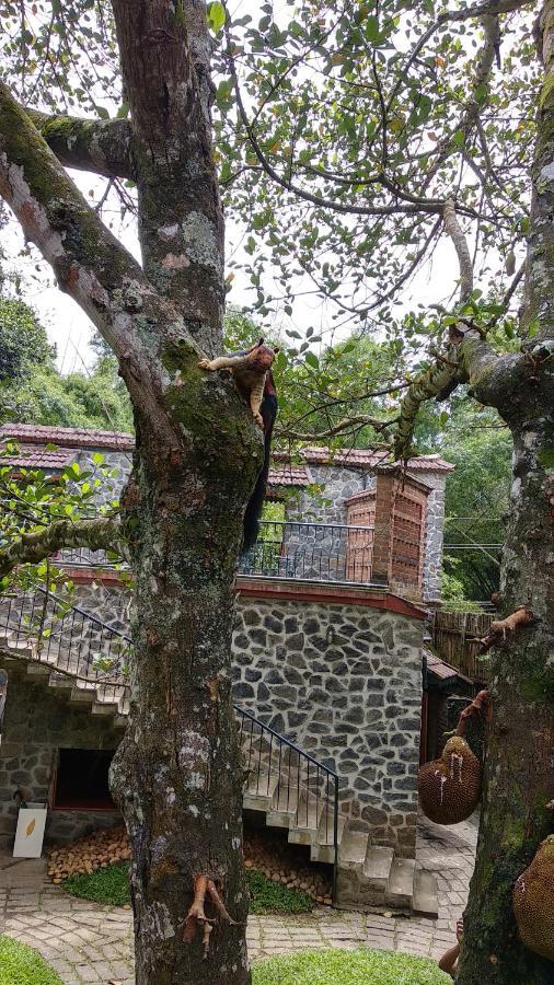 Bed and Breakfast Wildernest Теккади Экстерьер фото